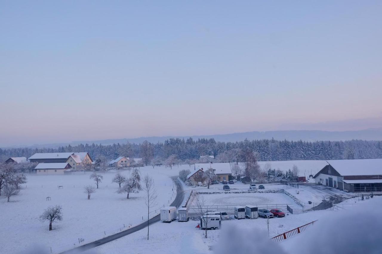 Trautesheim Ferienwohnungen Wangen im Allgäu Kültér fotó
