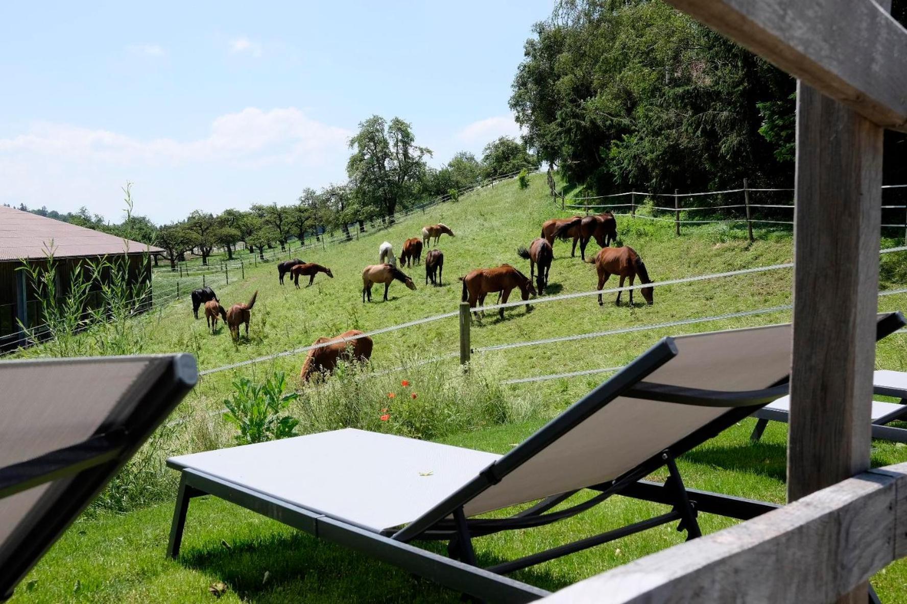 Trautesheim Ferienwohnungen Wangen im Allgäu Kültér fotó